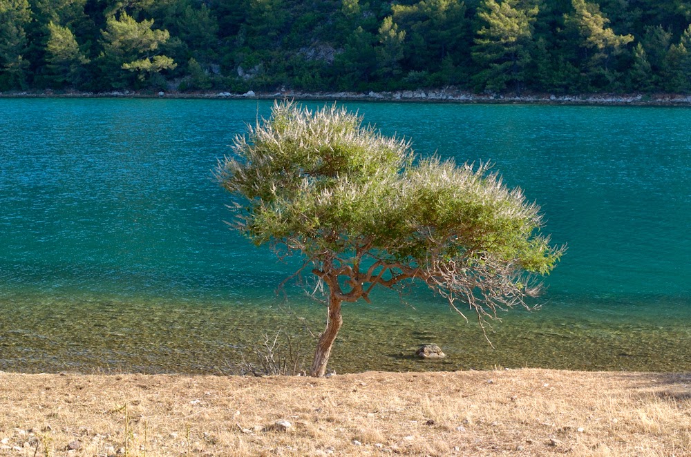 Welcome to the Bozburun Peninsula, Turkey